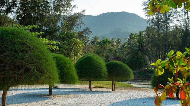 Where to Stay on Koh Phangan: Best Areas for Every Traveler